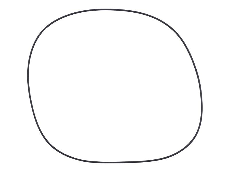 O-RING - 257 X 263 DIA