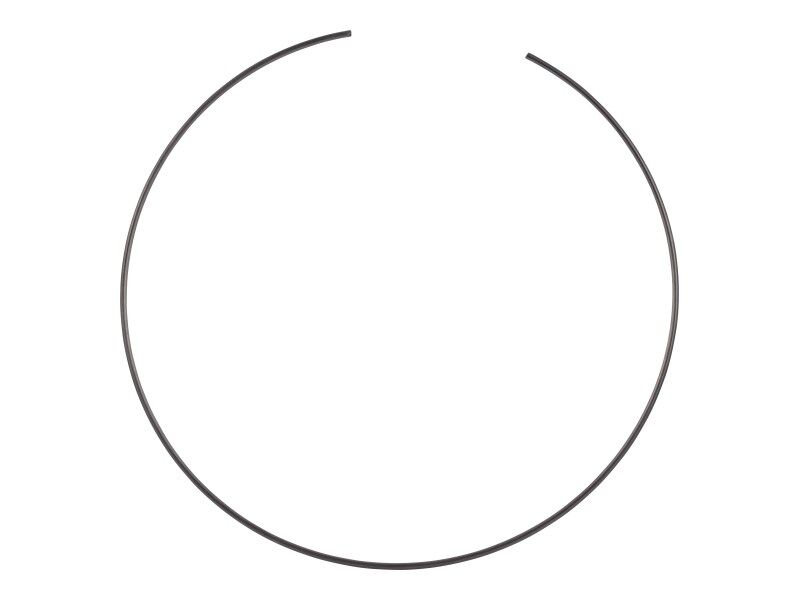 LOCK RING