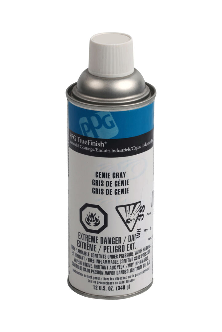 GN-GRAY SP PAINT