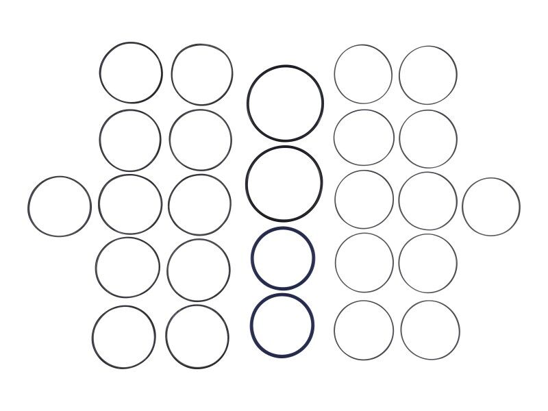 GN-SEAL KIT, SWIVEL