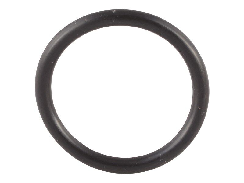O-ring, ZF Transmission model 4 WG 98 TSC