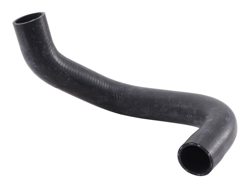 HOSE,LOWER RADIATOR