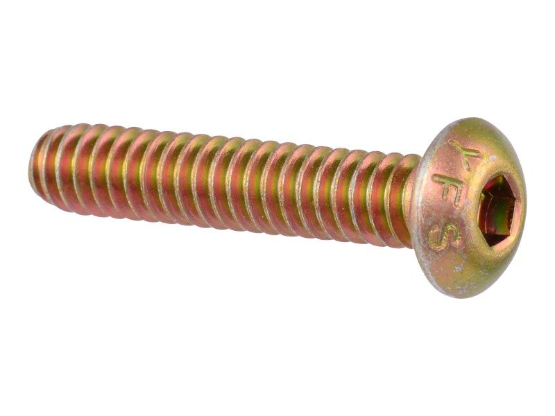 SCREW BUTTON HD 10-24X1