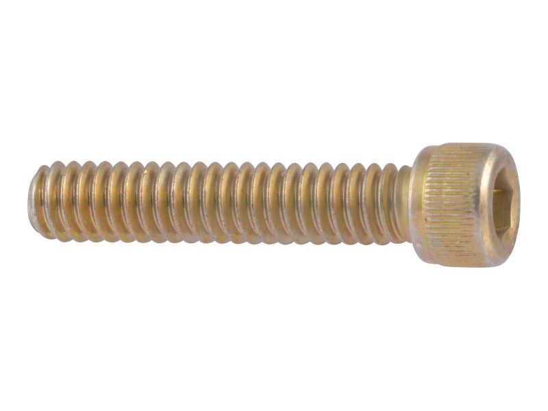 SCR CAP SOC HD  .25-20 X 1.250