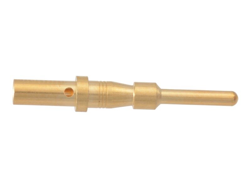 PIN, MALE