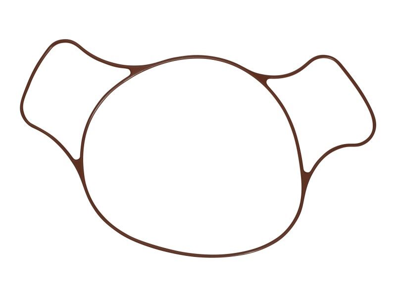 O-RING