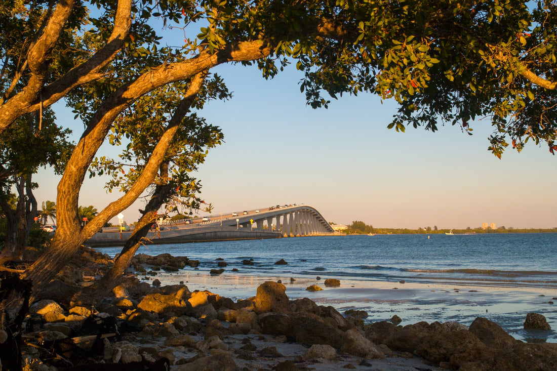 Coastal Sanctuaries and Wildlife Encounters
