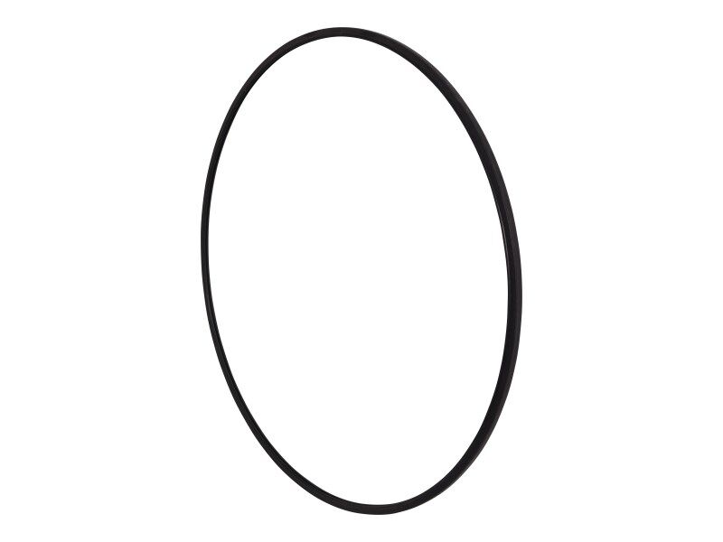 GN-LENS
