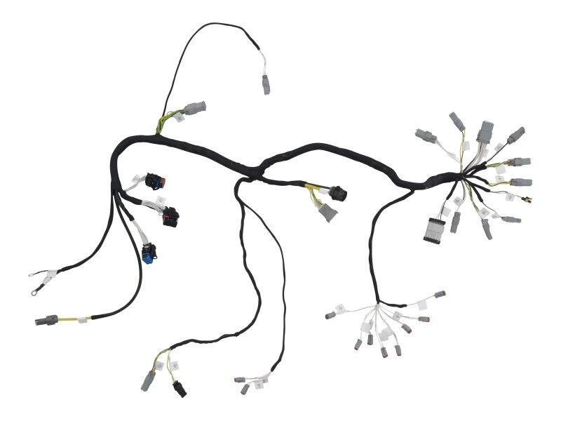 HARNESS,HBP REAR FRAME (6)