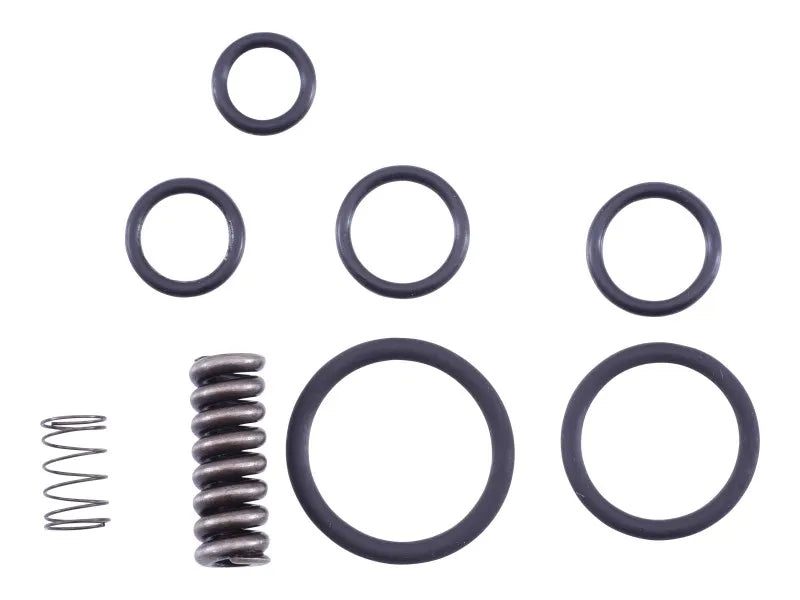SEAL &amp; SPRING KIT