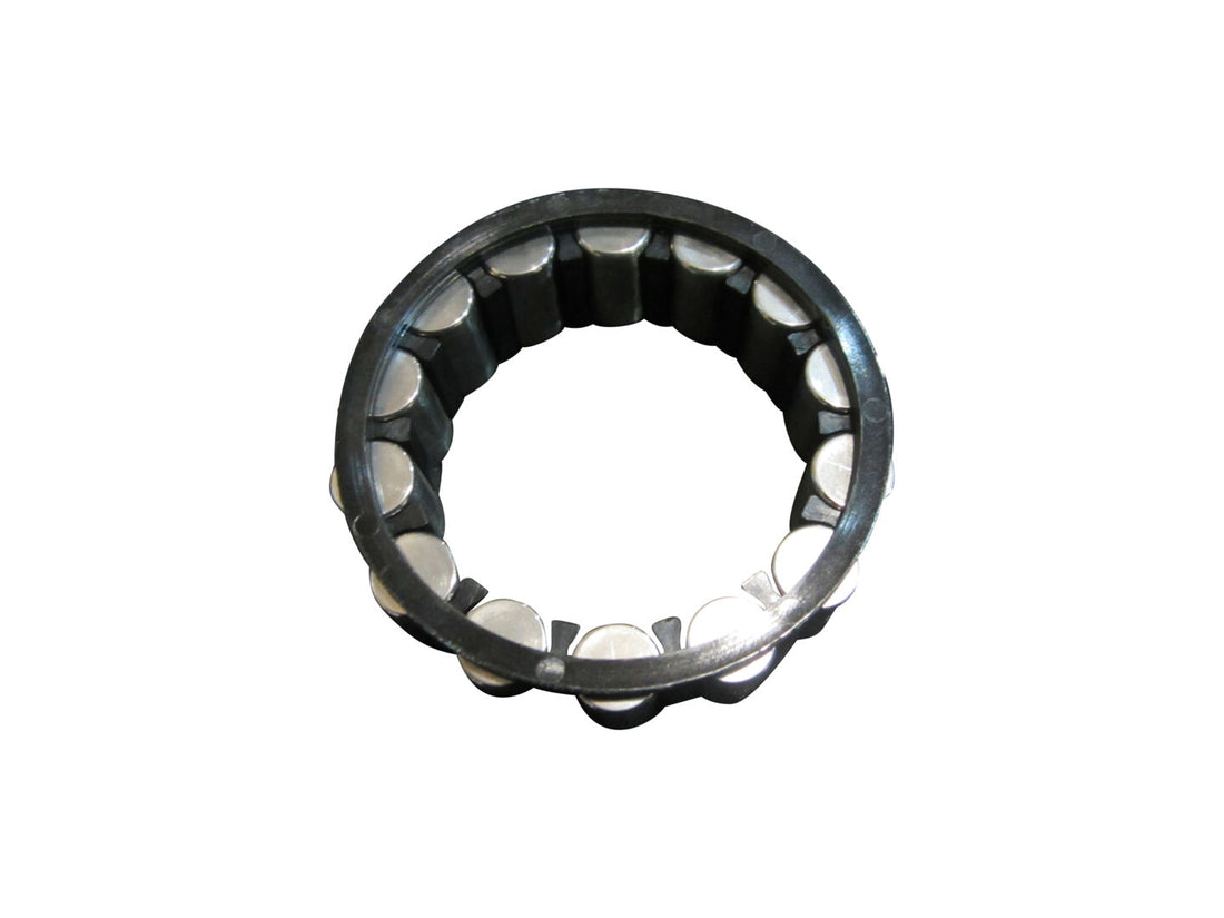 ROLLER CAGE