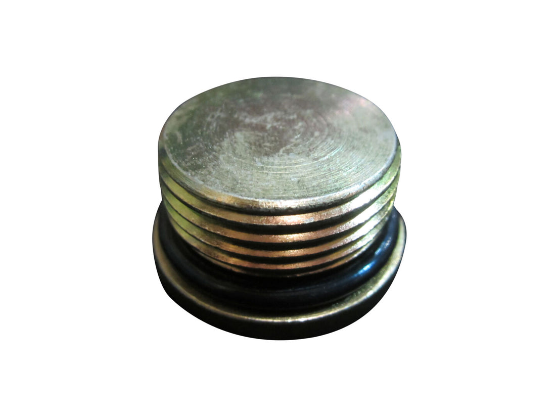 FTG,HEX SOCKET ORING PLUG