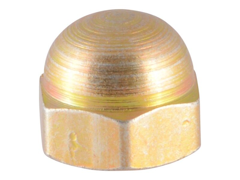 NUT-SPEC,ACORN