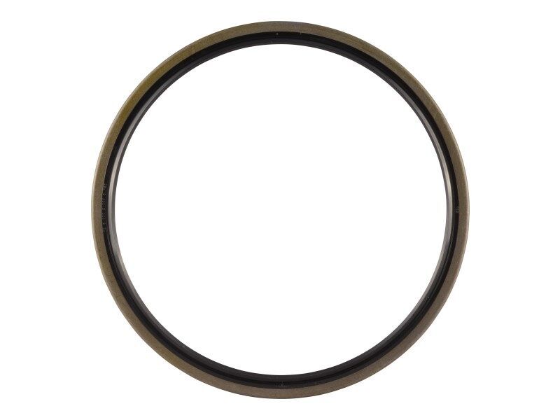 SEAL, MAIN LIP