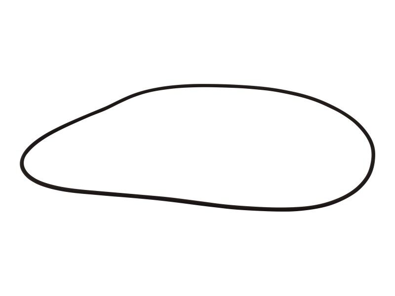 O-RING