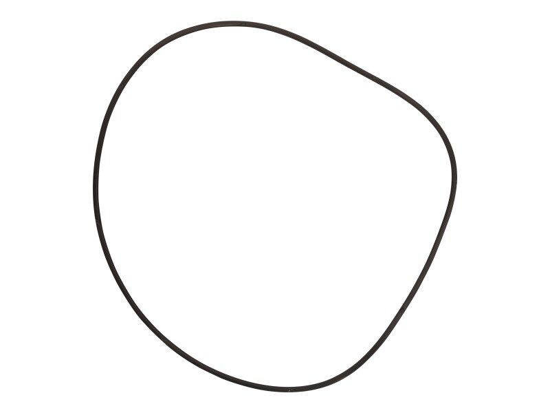 O-RING, ANTI-TWIST