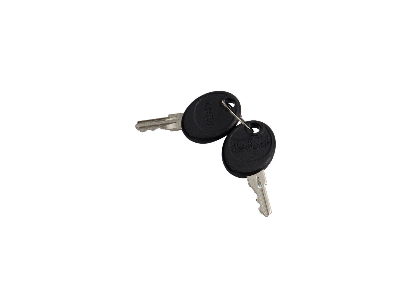 KEYS-SET OF TWO ON ONE RING