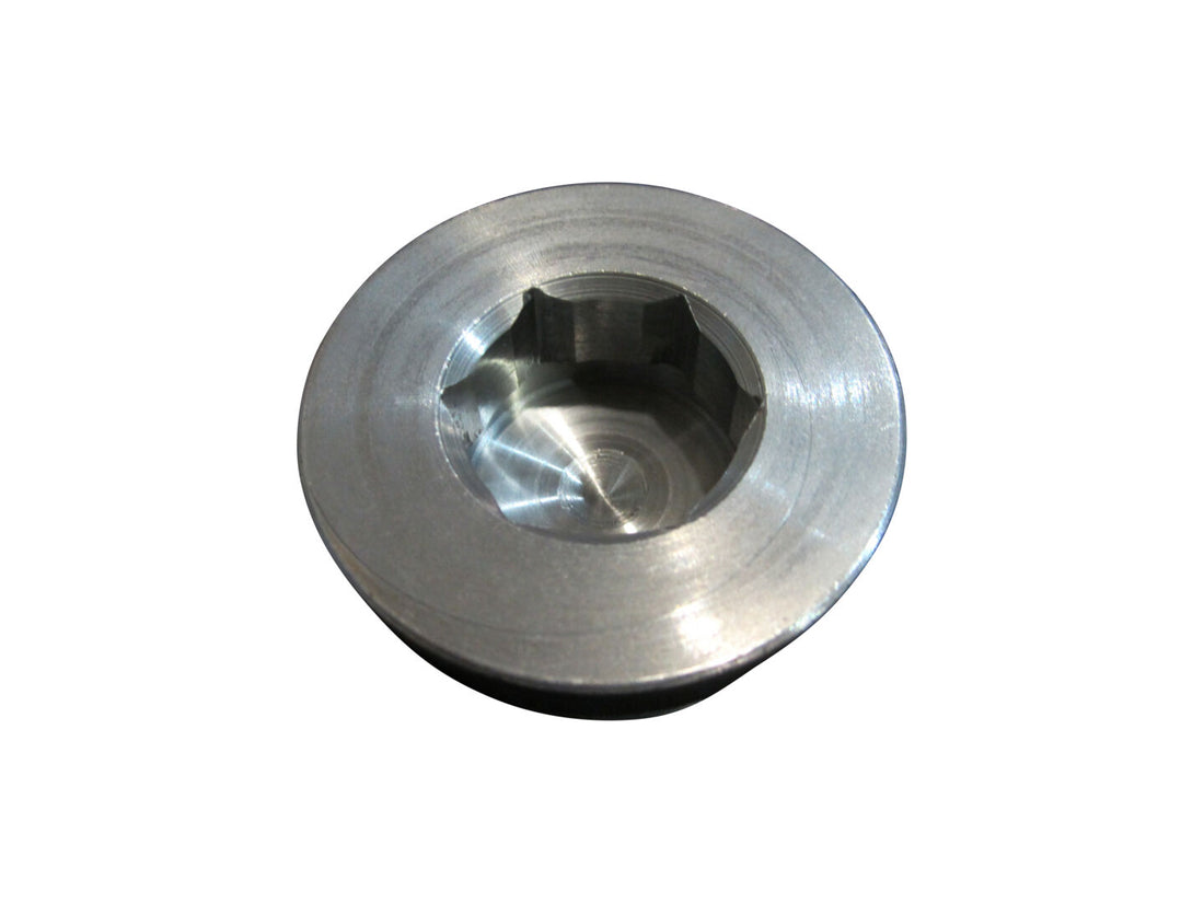ZF-PLUG SCREW