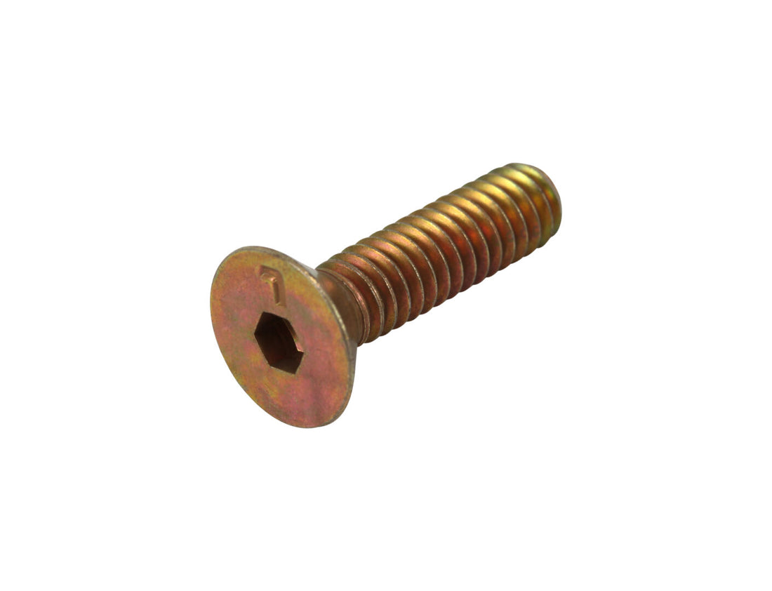 SN-SCR FLT HD SOC,.250-20X1.0