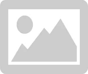 2.5LB FIRE EXT W/METAL BRKT